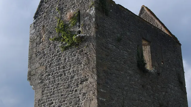 Photo de Tintury