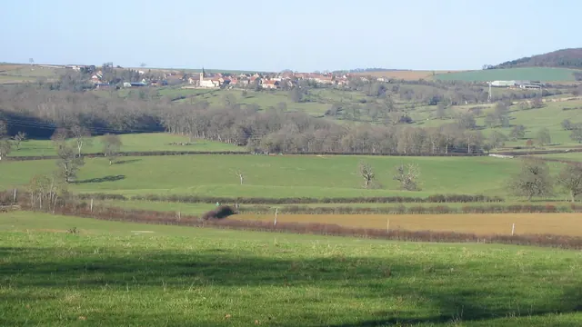 Photo de Vignol