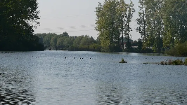 Photo de Fretin