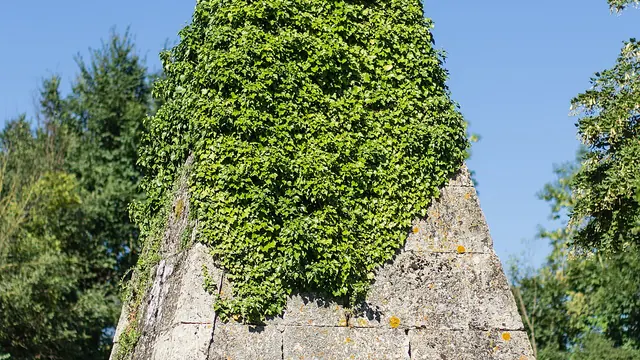 Photo de Gournay-sur-Aronde