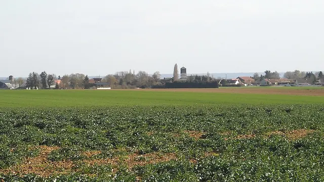 Photo de Le Mesnil-sur-Bulles