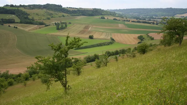Photo de Saint-Pierre-es-Champs