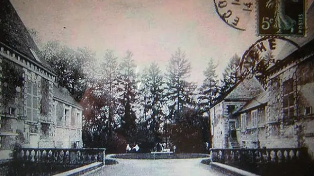 Photo de Avoine
