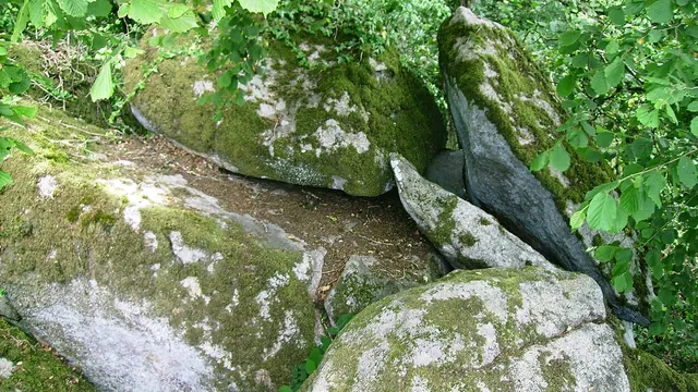 Photo de Joué-du-Bois