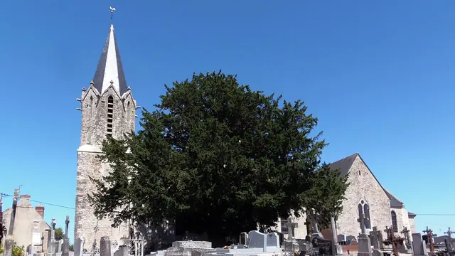 Photo de Nécy