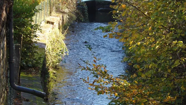 Photo de Saint-Pierre-du-Regard