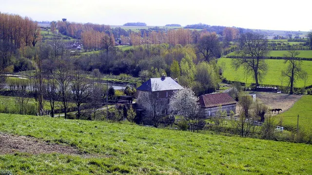 Photo de Bomy