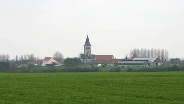 Photo de Hestrus