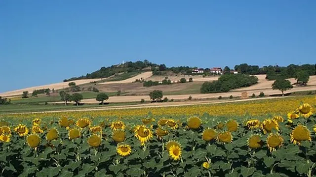 Photo de Luzillat