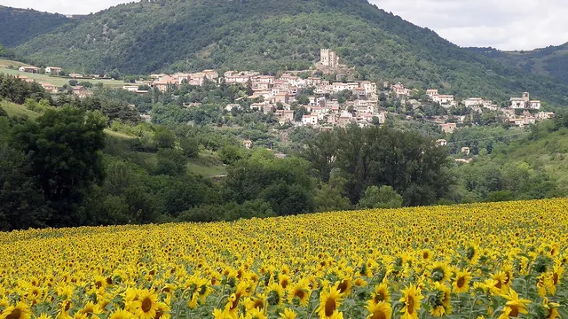 Photo de Montaigut-le-Blanc