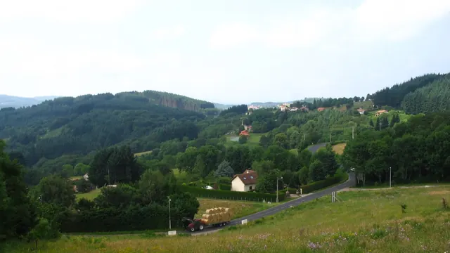 Photo de Palladuc