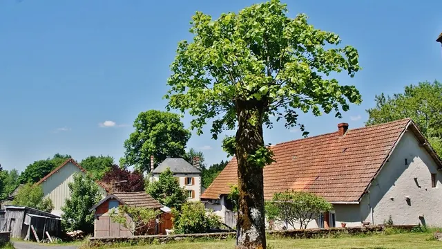 Photo de Verneugheol