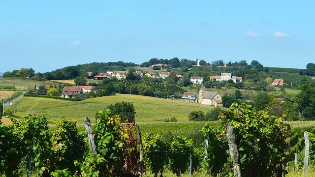 Photo de Arrosès