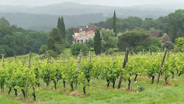 Photo de Cabidos