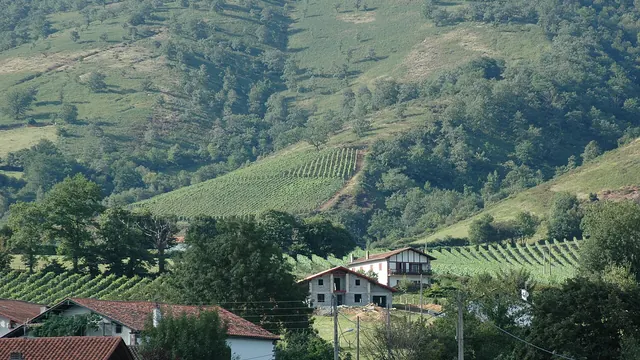 Photo de Irouléguy