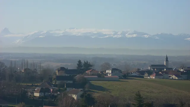 Photo de Sauvagnon