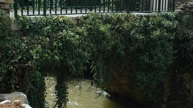 Photo de Urepel