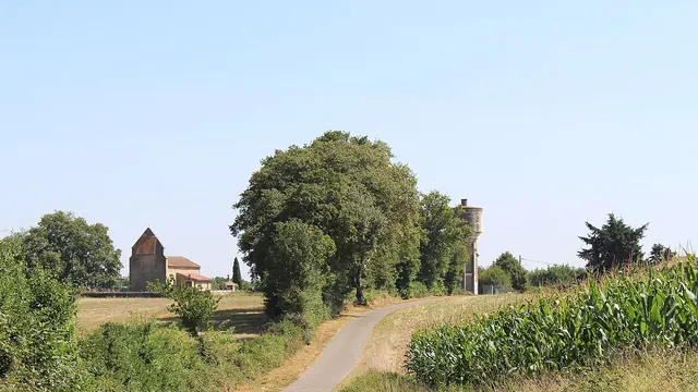 Photo de Hagedet