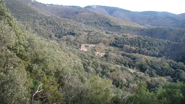 Photo de L'Albère
