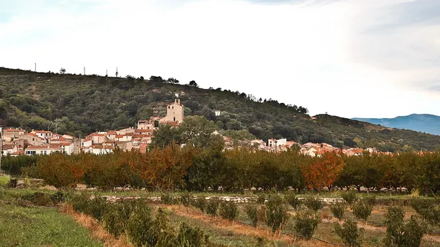 Photo de Bouleternère