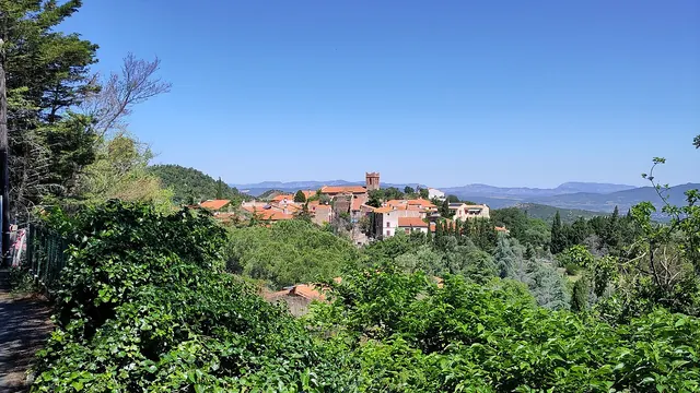 Photo de Camélas