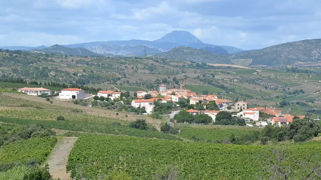 Photo de Montner