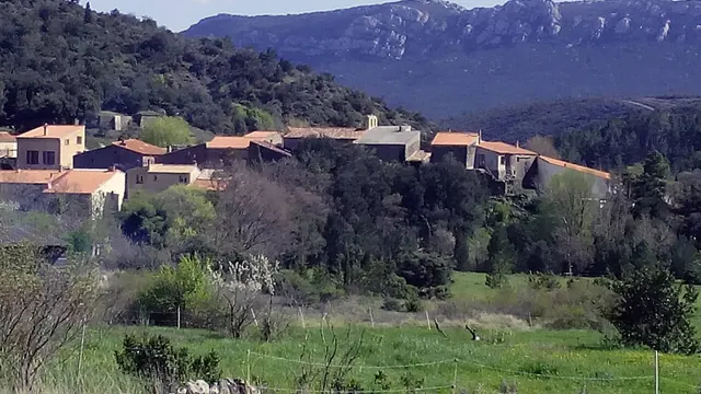 Photo de Prugnanes