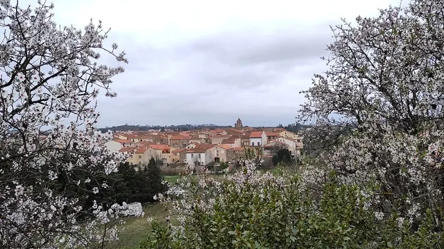 Photo de Trouillas
