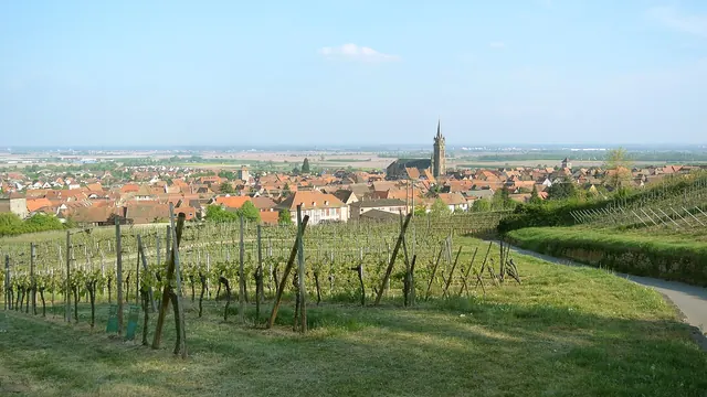 Photo de Dambach-la-Ville