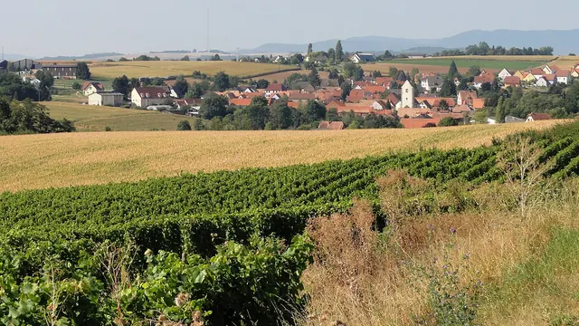 Photo de Kienheim