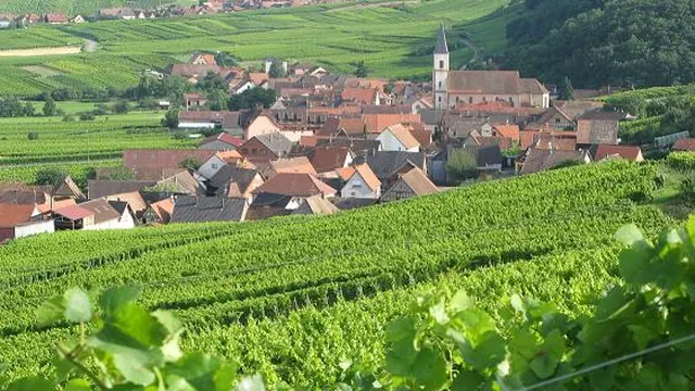 Photo de Nothalten