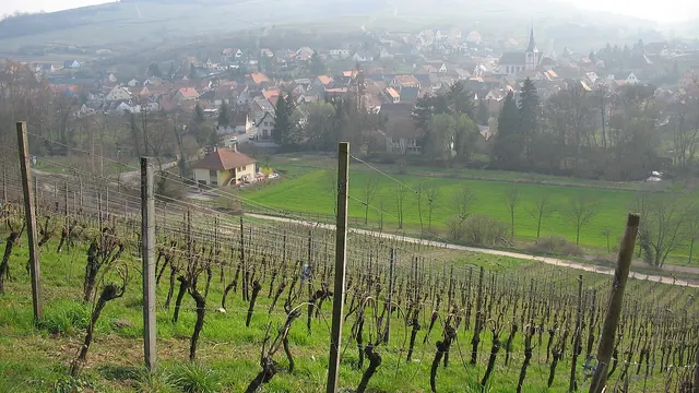 Photo de Soultz-les-Bains