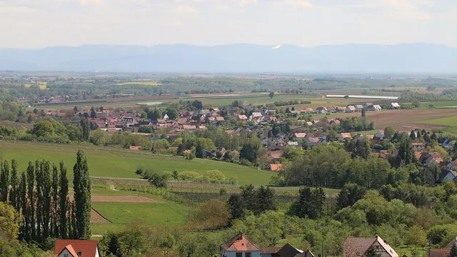 Photo de Steinseltz
