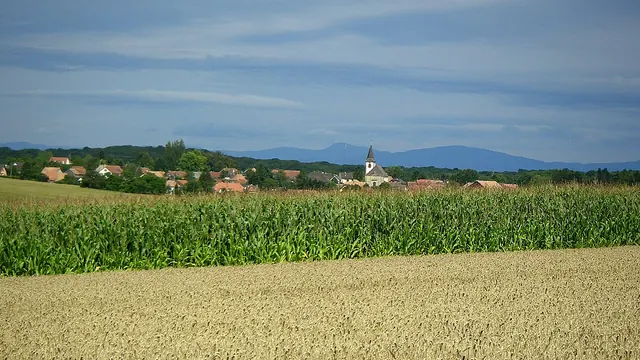 Photo de Galfingue