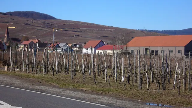 Photo de Wettolsheim