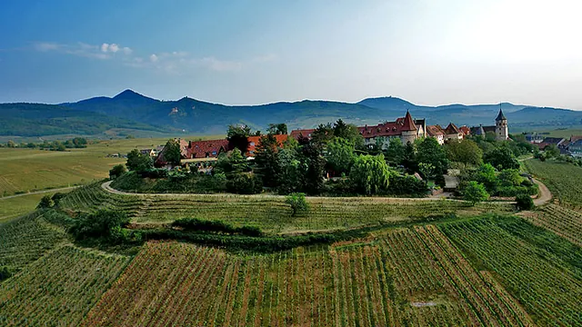Photo de Zellenberg