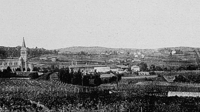Photo de Chénas