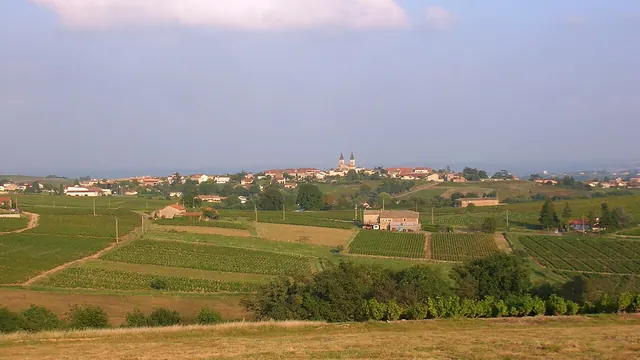 Photo de Régnié-Durette