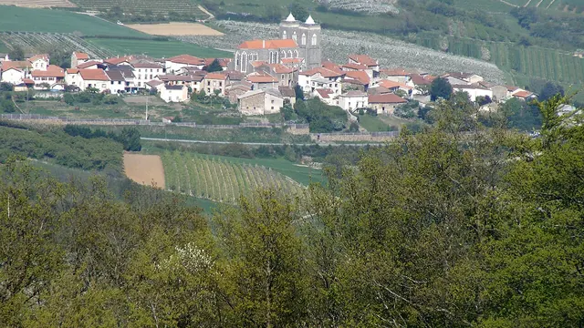 Photo de Saint-Didier-sous-Riverie
