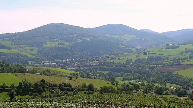 Photo de Saint-Didier-sur-Beaujeu