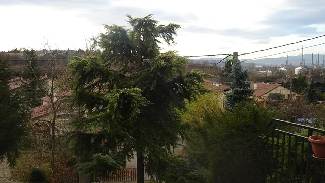 Photo de Feyzin
