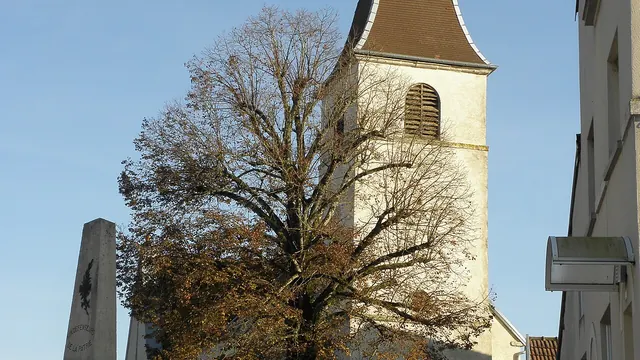 Photo de Champtonnay