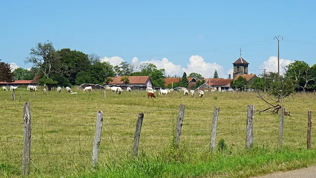 Photo de Servigney