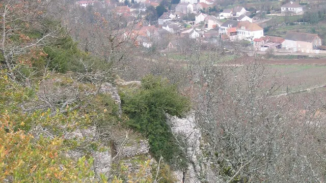 Photo de Bouzeron