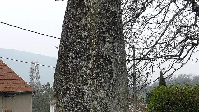 Photo de Broye