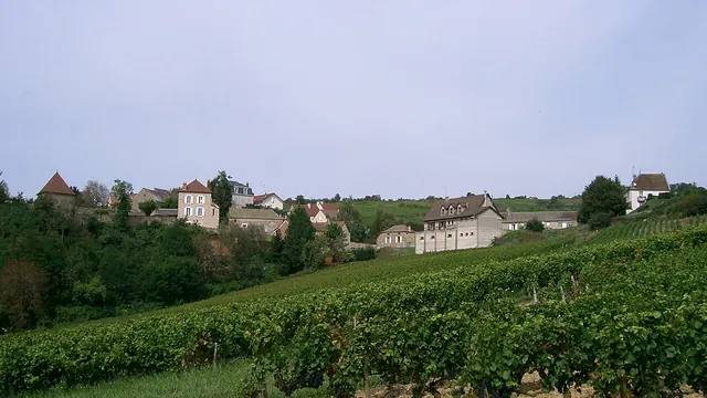 Photo de Dezize-lès-Maranges