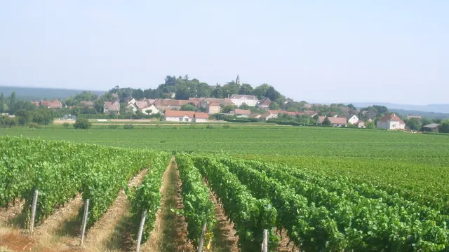 Photo de Jully-lès-Buxy