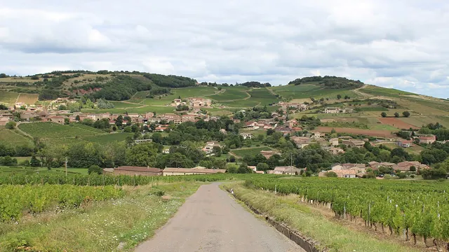 Photo de Leynes