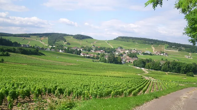 Photo de Mercurey