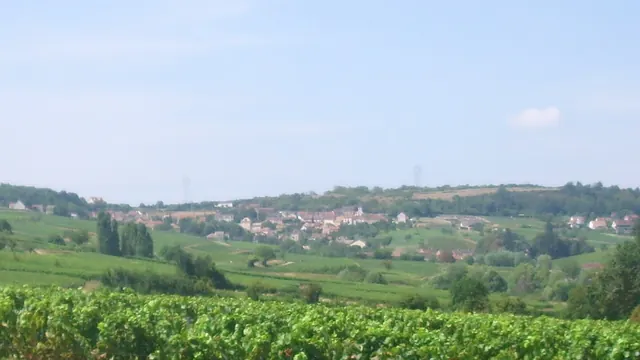 Photo de Montagny-lès-Buxy